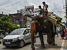 Альтернатива Китаю: 10 дешёвых авто из Индии, которые не затронет новый утильсбор