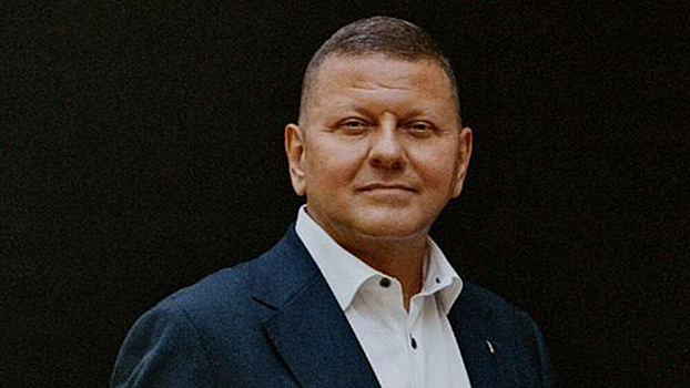 Советница Залужного опровергла сообщения о его планах покинуть пост