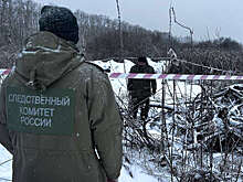 Под Тюменью мужчина расчленил знакомую и развез останки по городу