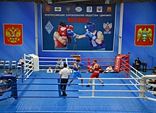 В Нальчике прошла церемония открытия Всероссийского турнира общества «Динамо» по боксу среди мужчин