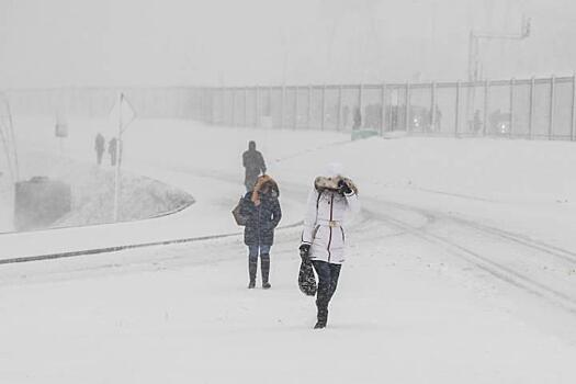 Сказали, где пройдет самый мощный снегопад