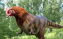 Курица не птица, а динозавр: что мешает создать парк юрского периода