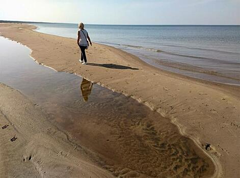 Авандюну на Балтийской косе пообещали укрепить почти за 30 млн рублей