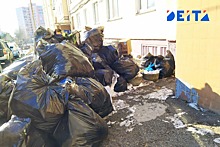 Деньги из контейнера: нелегальные мусорщики появились в Приморье
