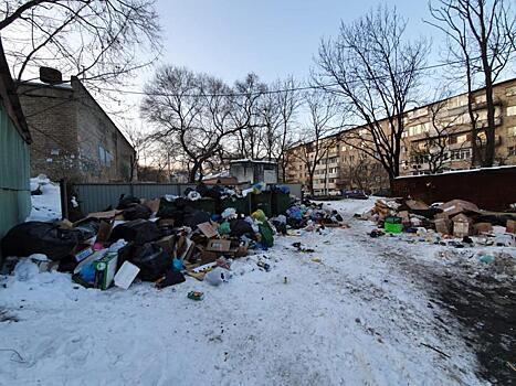 Гуменюк дал неделю на очистку Владивостока от мусора