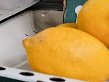 Названы продукты, которые помогают сохранить здоровье печени