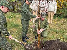 В Курске офицеры Следственного комитета вместе с кадетами высадили березы