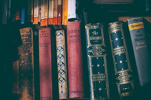 Книжная выставка, посвященная «Королевству кривых зеркал», откроется на Космонавта Волкова