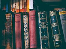 Книжная выставка, посвященная «Королевству кривых зеркал», откроется на Космонавта Волкова