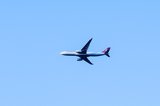 Turkish Airlines готовится к возобновлению работы аэропорта Стамбула