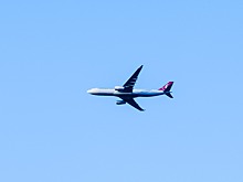 Turkish Airlines готовится к возобновлению работы аэропорта Стамбула