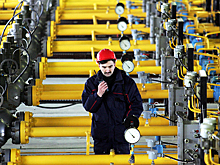 Запас на шесть недель: Европе предрекли катастрофу без российского газа
