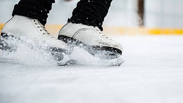 «Меня и партнера не было»: Ефимова опровергла свою гибель в самолете в США