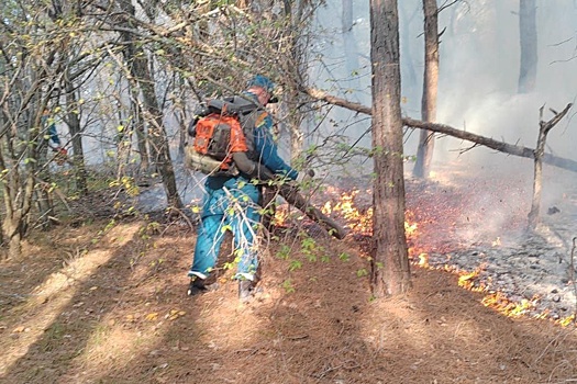 На Кубани тушат три крупных лесных пожара, еще четыре ликвидированы
