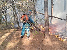 На Кубани тушат три крупных лесных пожара, еще четыре ликвидированы