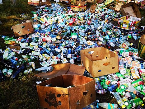 Под Тверью в лесу образовалась свалка из просроченных продуктов