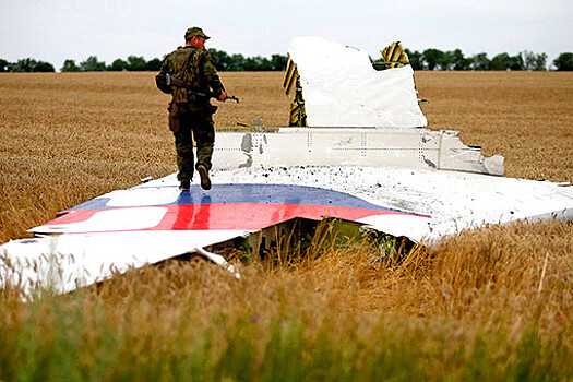 Нидерланды отказались принять сведения немецкого детектива по крушению MH17
