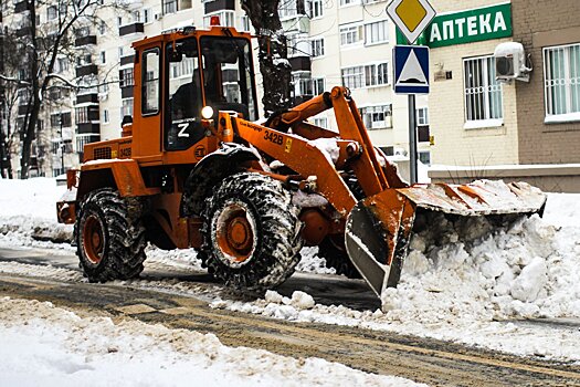 «Нужно желание руководства города»: Виктор Федорук о проблеме уборки снега в Петербурге