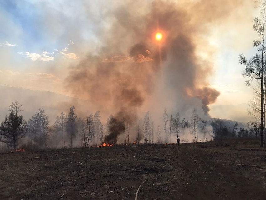 За последние сутки в Забайкалье ликвидировали один лесной пожар