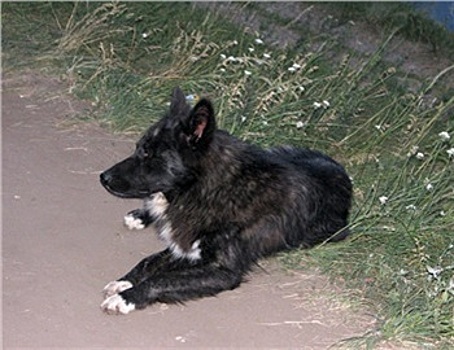 Джек Ма побывал в родном городе Дерипаски