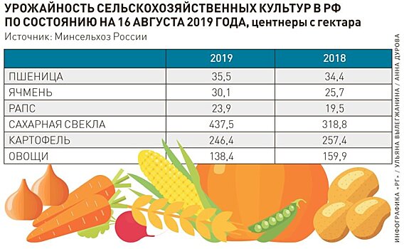 Эксперты отмечают высокое качество урожая 2019 года на Северо-Западе