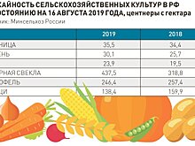 Эксперты отмечают высокое качество урожая 2019 года на Северо-Западе