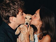 Квят и Хэмилтон отреагировали на помолвку Леклера