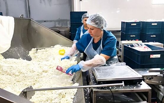 Южноуральские производители кефира и йогуртов перешли на отечественные закваски