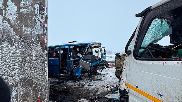 Появились кадры последствий смертельного ДТП в Омской области