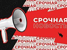 В Кирове и 10 районах области введён режим ЧС из-за высокопатогенного гриппа птиц