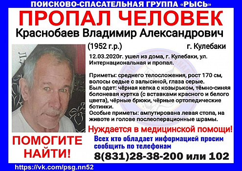 68-летний Владимир Краснобаев пропал в Кулебаках