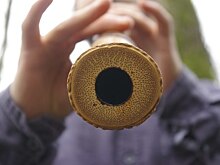 В Калининграде пройдёт бесплатный концерт-медитация