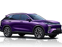 У Haval появился новый кроссовер H7, который будут продавать в России