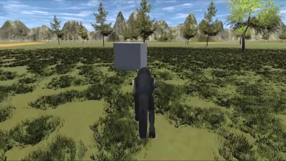 Обезьян с нейроимплантатами выпустили на прогулку в виртуальный лес