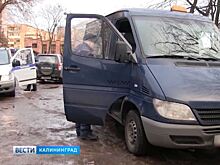 В Калининградской области нашли 30 нелегальных автобусов