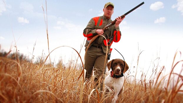 Россельхознадзор обязал охотников приносить убитых животных к ветеринарам