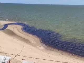 В Ростовской области проверят информацию о загрязнении Таганрогского залива