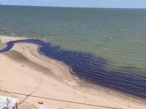 В Ростовской области проверят информацию о загрязнении Таганрогского залива