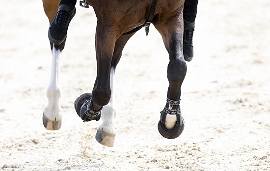 Еще нескольким российским наездникам согласовали нейтральный статус