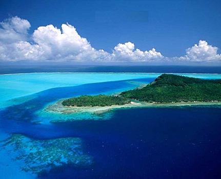 В Сибири обнаружили тропические моря