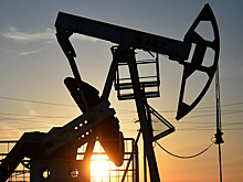 В Польше сравнили потери США и Европы в случае эмбарго на нефть из РФ