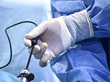 Государственная Дума наградит врачей, спасавших фанатов ЦСКА в Риме