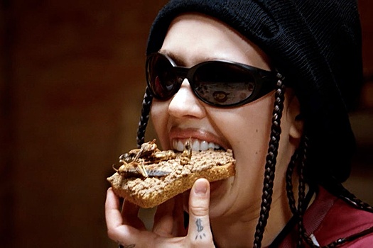 Названы звездные участники нового аналога "Форта Боярд"