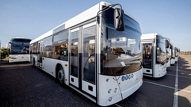 Transit Media Group заключила контракт на эксклюзивное размещение рекламы на автобусах «Ранд-Транса»