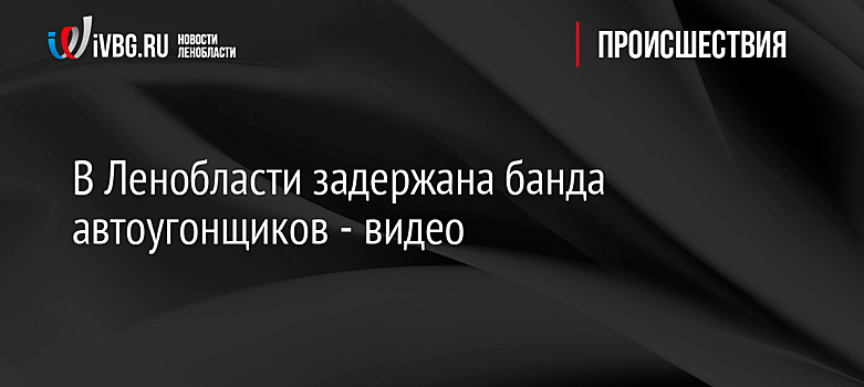 В Ленобласти задержана банда автоугонщиков - видео