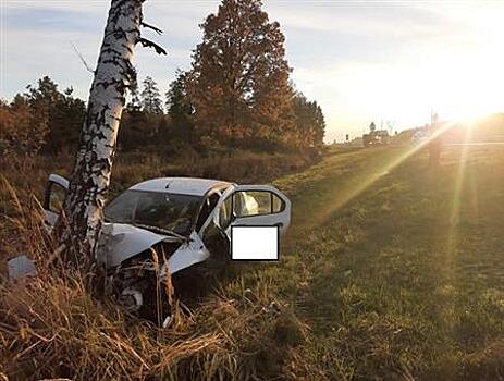 Два человека пострадали в разбившемся Renault под Тольятти