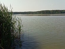 С начала сезона в водоемах Пензы утонули 8 человек