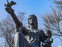 Многодетную мать из Сальска наградят Почетным дипломом губернатора