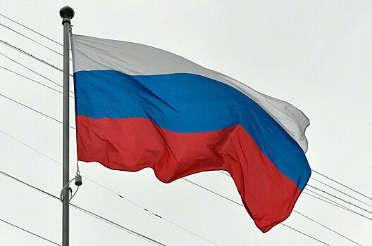 Свищев: Государственный флаг постоянно должен быть вывешен на зданиях детсадов и вузов