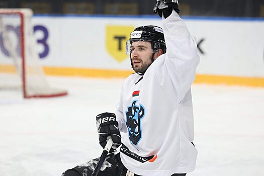 Депутат Госдумы Свищев: Минское «Динамо» — это не массовка КХЛ